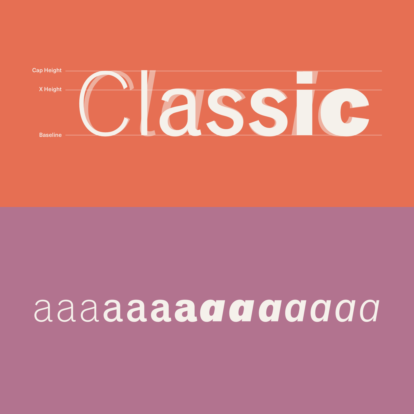 Classic Grotesque is a traditional font family with a modern face. Classic Grotesque is a traditional font family with a modern face.
