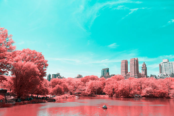 The infrared effect turns the park into a surreal setting.
