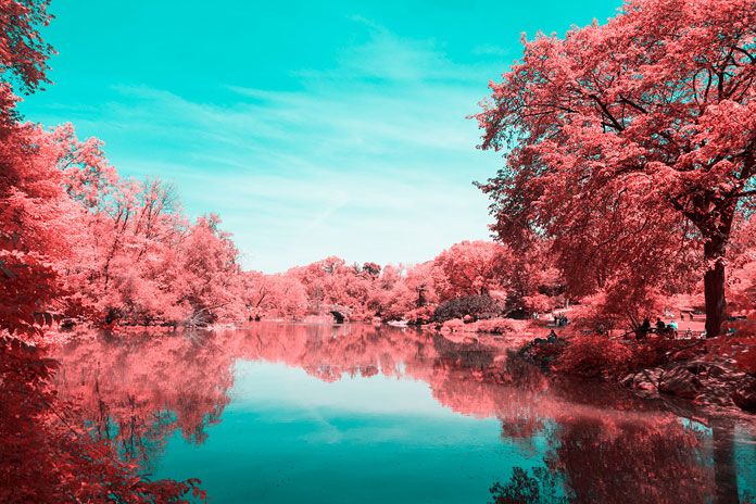 INFRARED NYC is a series that shows the famous Central Park in otherworldly pink and blue colors.