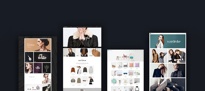 Massive Dynamic – DIY WordPress Website Builder.
