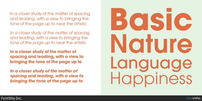 A sturdy geometric typeface.