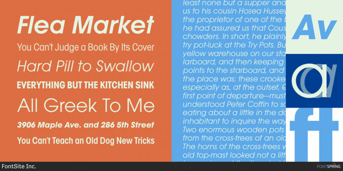 Equipped with an extensive character set and diverse OpenType features.