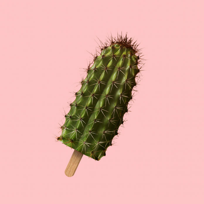 Cactus Popsicle Cactus Popsicle