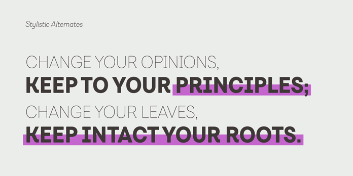 Javiera font family, Stylistic alternates.