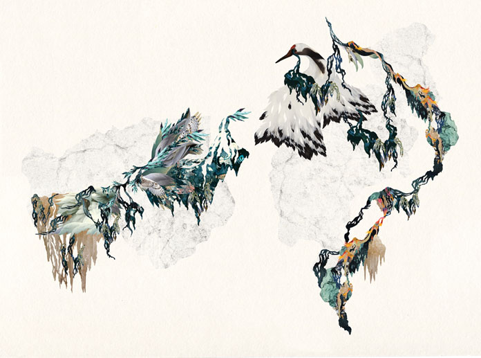 Elisa Vendramin, abstract and floral patterns.
