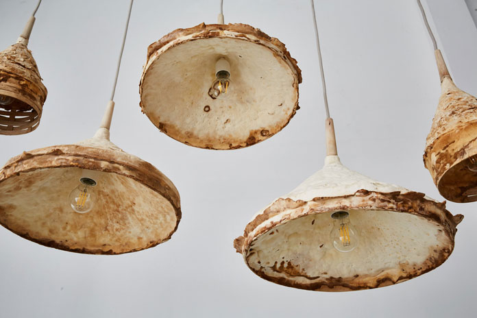 Weathered interior design created by Sebastian Cox and Ninela Ivanova using mushroom mycelium.