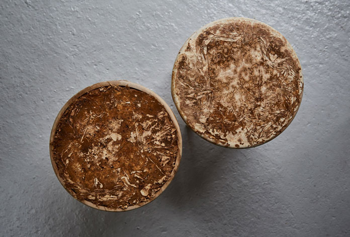 The fungal material creates a suede-like effect.