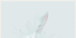 Forming and Fragmenting - Portrait Series by André Wee