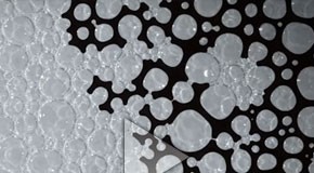 Compressed 02 - macro time lapse animation by Kim Pimmel