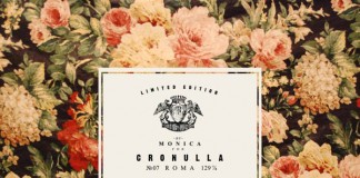MONICA - Brand Identity by Roberta Farese