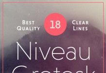 Niveau Grotesk Type Family by HVD Fonts