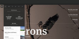 Medium.com Collection - Web Design Concept by Leigh Taylor