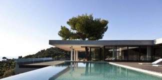 Endless Pool of the Plane House by K Studio