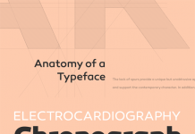 Canaro – Geometric Font Family by Rene Bieder Canaro - Geometrical Font Family by Rene Bieder