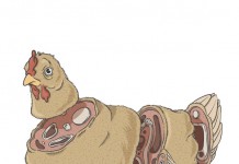 Sliced chicken illustration by Alexandre Godreau