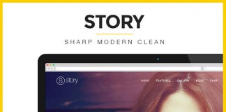 Story - Responsive Multi-Purpose WordPress Theme