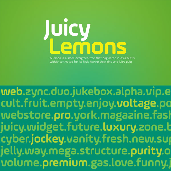 The AmpleSoft type family from Soneri Type was designed by Aakash Soneri in 2014.