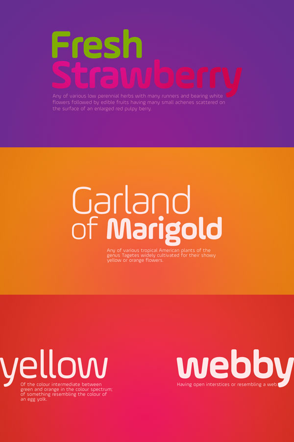 The Ample Soft typeface, a rounded display font family from Soneri Type.