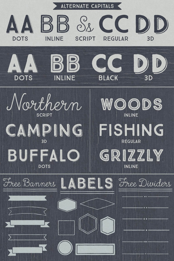 True North - Vintage Typefaces - alternates, styles, banners, labels, and typographic options.