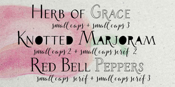 It's a versatile family that includes different hand drawn typefaces.