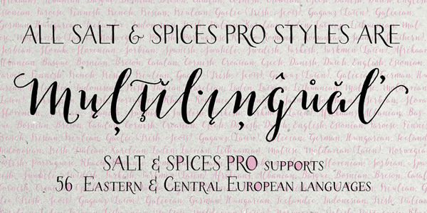All styles are multilingual, the family supports 56 Eastern and Central European languages.