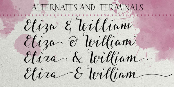 The set of alternate letters and terminals.
