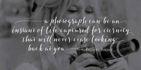 Type sample in short text.