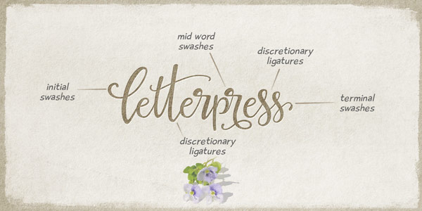 The family includes typographic features such as initial and terminal swashes, mid word swashes, and discretionary ligatures.