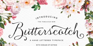 The fabulous new Butterscotch font by Nicky Laatz is a hand lettered typeface with oodles of extras.