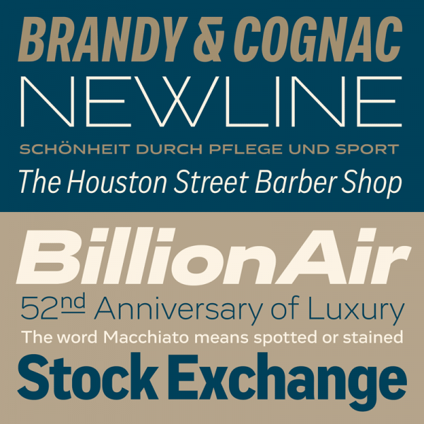 Vito, a modern sans serif typeface from foundry Typejockeys that comes with 60 styles. Vito, a modern sans serif typeface from foundry Typejockeys that comes with 60 styles.