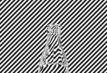 Graphic artwork by studio Sawdust for a Coca-Cola exhibit at the High Museum of Art in Atlanta, Georgia.
