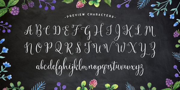 The alphabet with all letters including uppercases and lowercases.