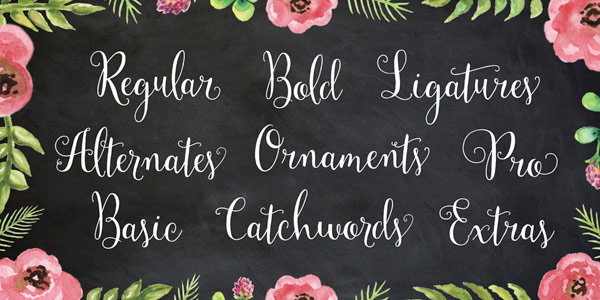 The type family comes with amazing typographic features such as ligatures, alternates, catchwords, extras, and ornaments.