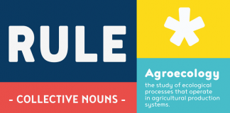 The Noyh font family is based on a geometric and rounded structure.