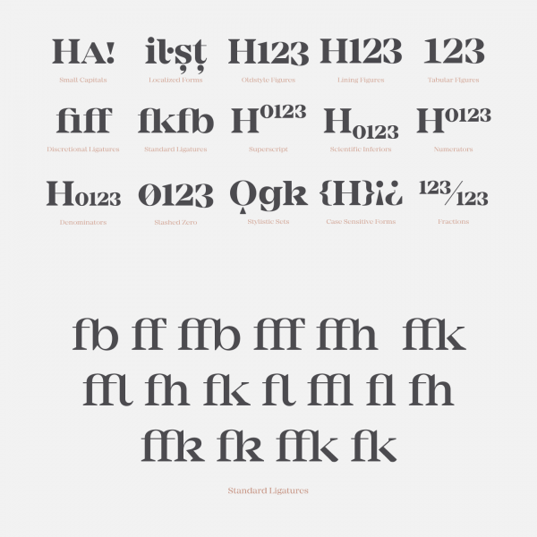 The family is equipped with diverse OpenType features.
