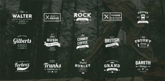 The bundle includes 665 logo templates for professional use.
