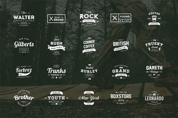 The bundle includes 665 logo templates for professional use.