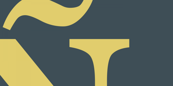 Georgia is probably the best serif typeface for reading on screen.