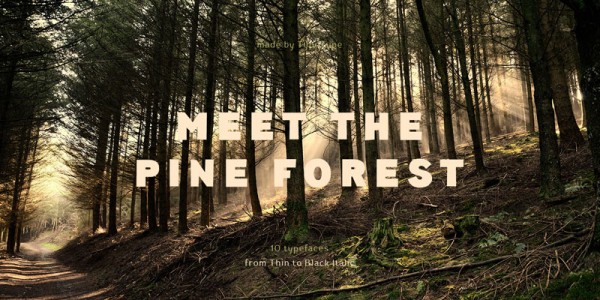 An unconventional typeface with deliberate inaccuracy in its details.