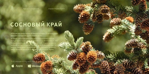 The multilingual typeface also supports Cyrillic letters.