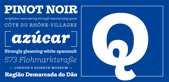 The family consists of 14 fonts including 7 uprights and 7 italics.