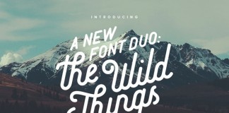 The Wild Things font duo by Victor Barac is based on a handcrafted vintage type design.