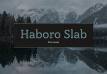 Haboro Slab, a family from foundry Insigne.