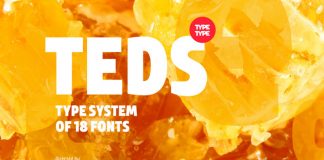 TT Teds font family from TypeType.