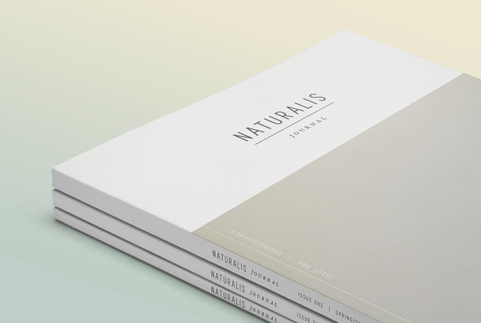 Modern design brochure design. Modern design brochure design.