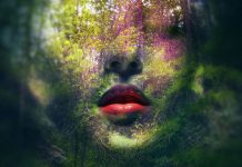 Federico Bebber – Digital Art