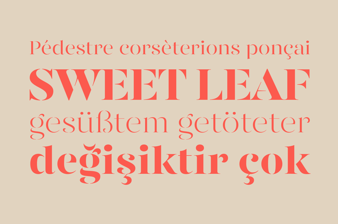 Type samples of the extended character set.