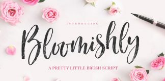 Bloomishly brush script typeface by Nicky Laatz.