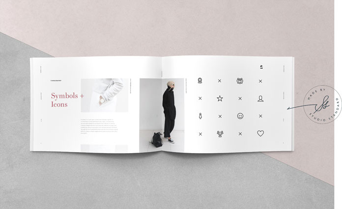 It covers all aspects of graphic design including logo, color, typography, web, print, values, and imagery.