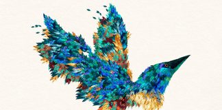 Elisa Vendramin Illustrations